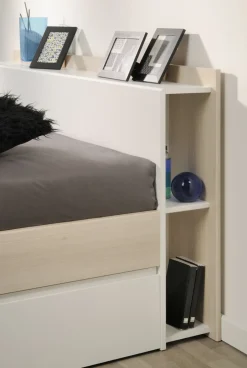 Bett MOST 6