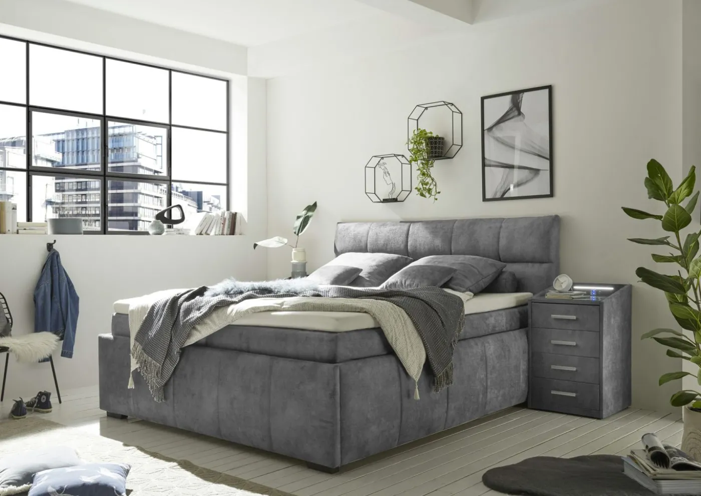 Boxbett AVIDANO 6