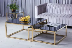 Couchtische 2er-Set C89G-S