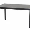 Dining Tisch L18953