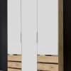 Drehtürenschrank LEVEL 36 A