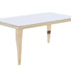 Esstisch CT53G-W