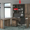 Regal CLIF