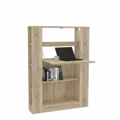 Regal MULTIFUNCTIONAL