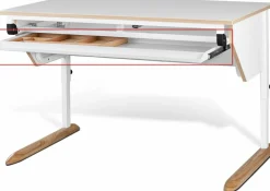 Schubkasten für Schülerschreibtische 100346