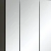 Spiegelschrank 60 CARDIFF