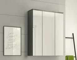 Spiegelschrank ASSELA