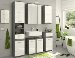Spiegelschrank ASSELA