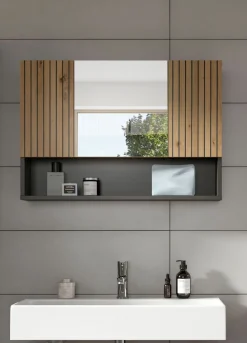 Spiegelschrank MONE