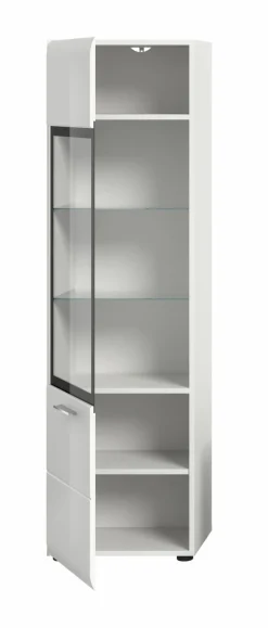 Vitrine ICE