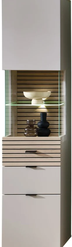 Vitrine INA