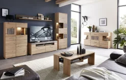 Wandboard SPIDER PLUS